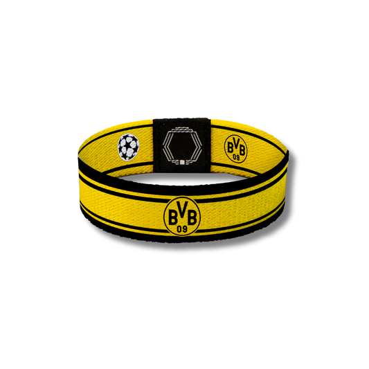 Borussia Dortmund