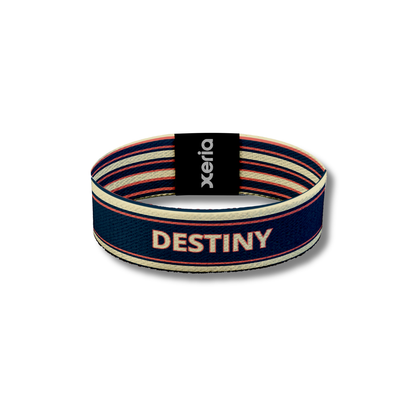 Destiny